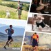 AMY COULEE Mens Athletic Workout Shorts 5.5 Cotton Casual Shorts Elastic Waist Joggers Sports Sweat Shorts